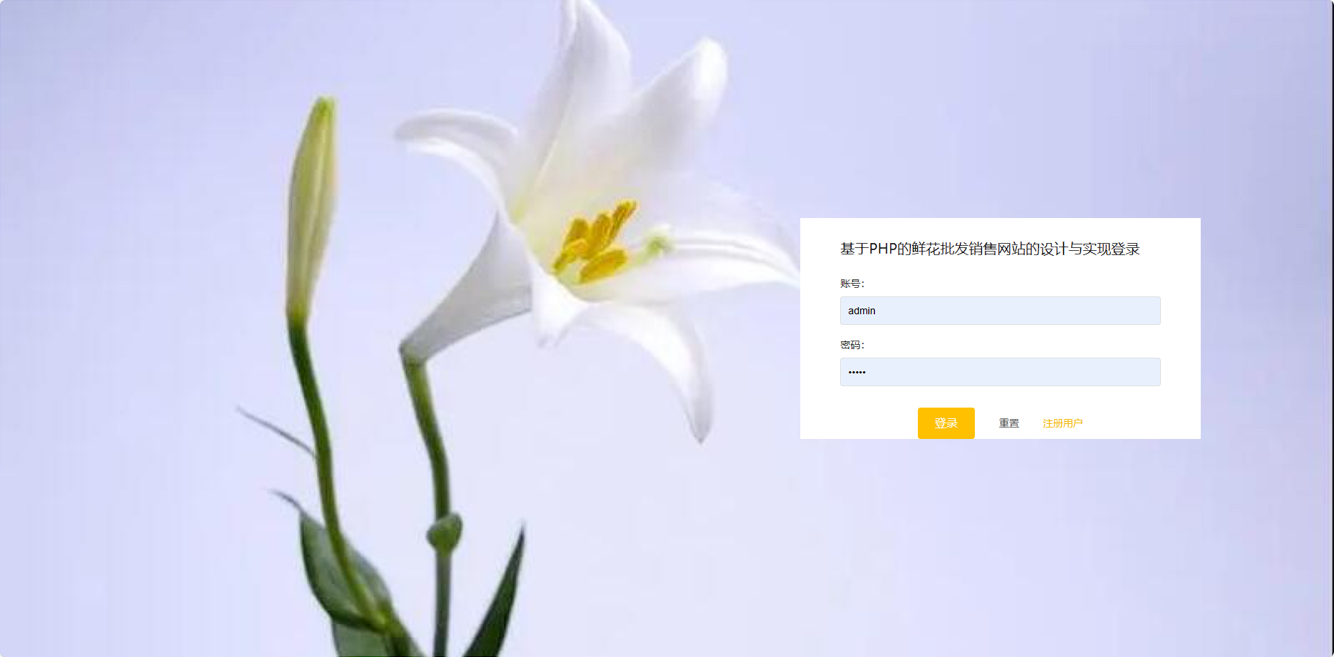 /error/404.png