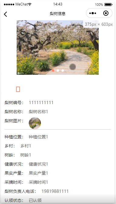 /error/404.png