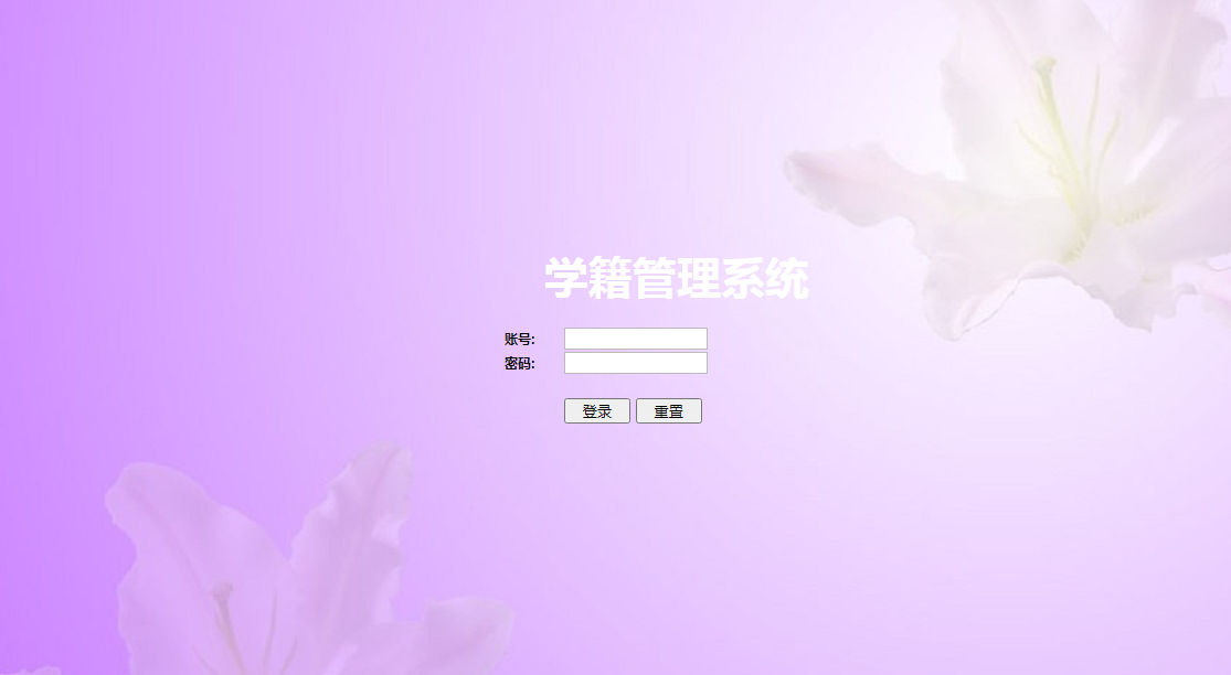 /error/404.png