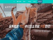 [含文档+PPT+源码等]ssm流浪猫狗|流浪狗宠物救助网站[包运行成功+永久免费答疑辅导]