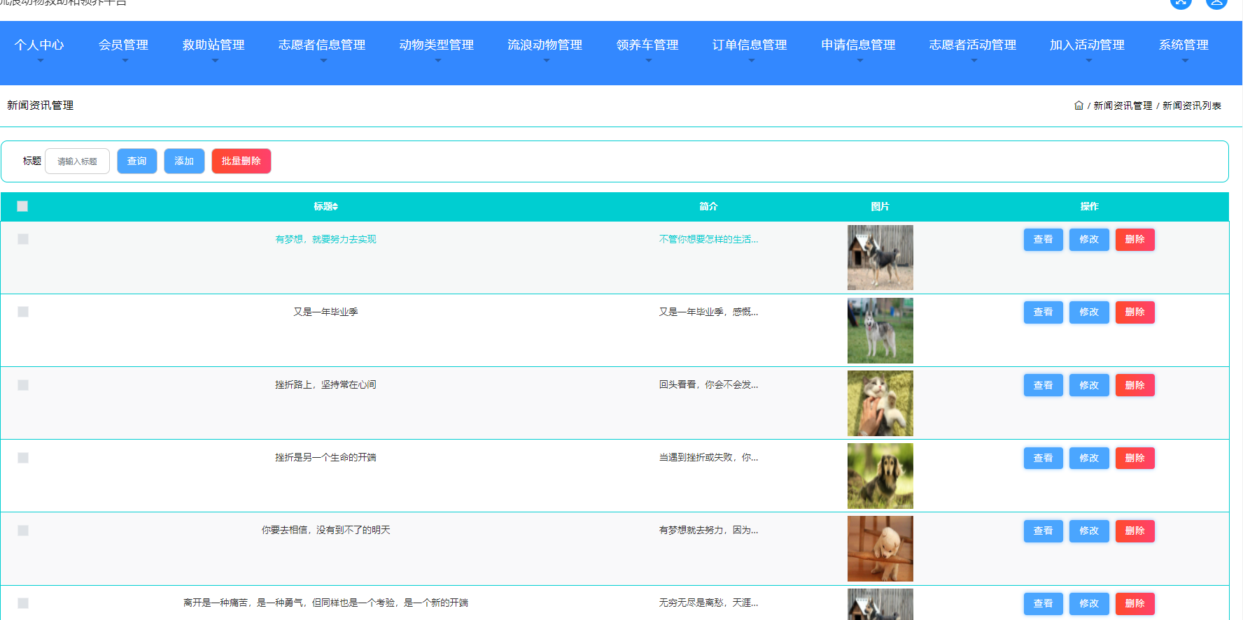 [含文档+PPT+源码等]精品SSM流浪动物救助和领养平台[包运行成功+永久免费答疑辅导]